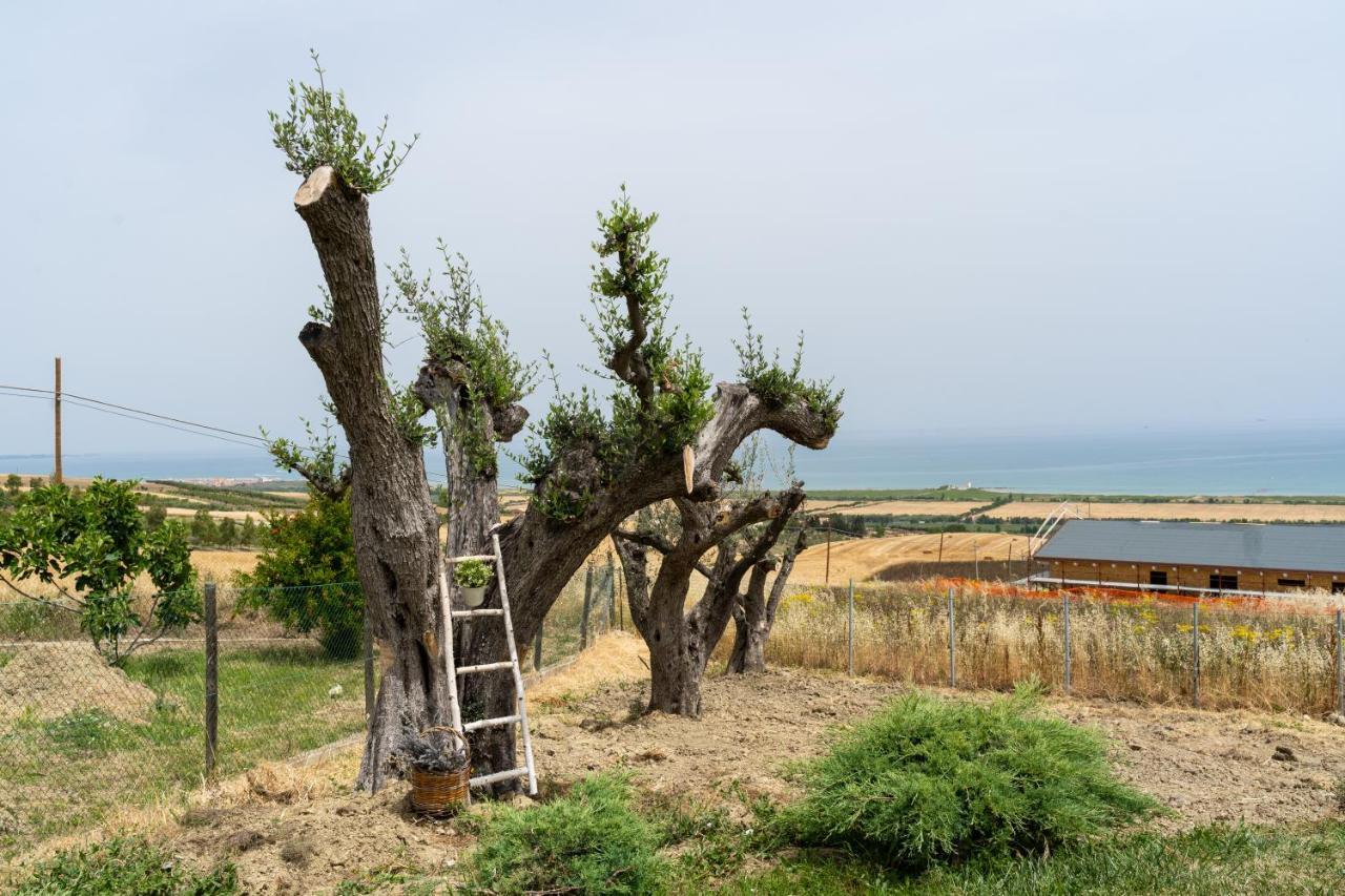 In Collina Sul Mare... Villa Montenero di Bisaccia Exteriör bild